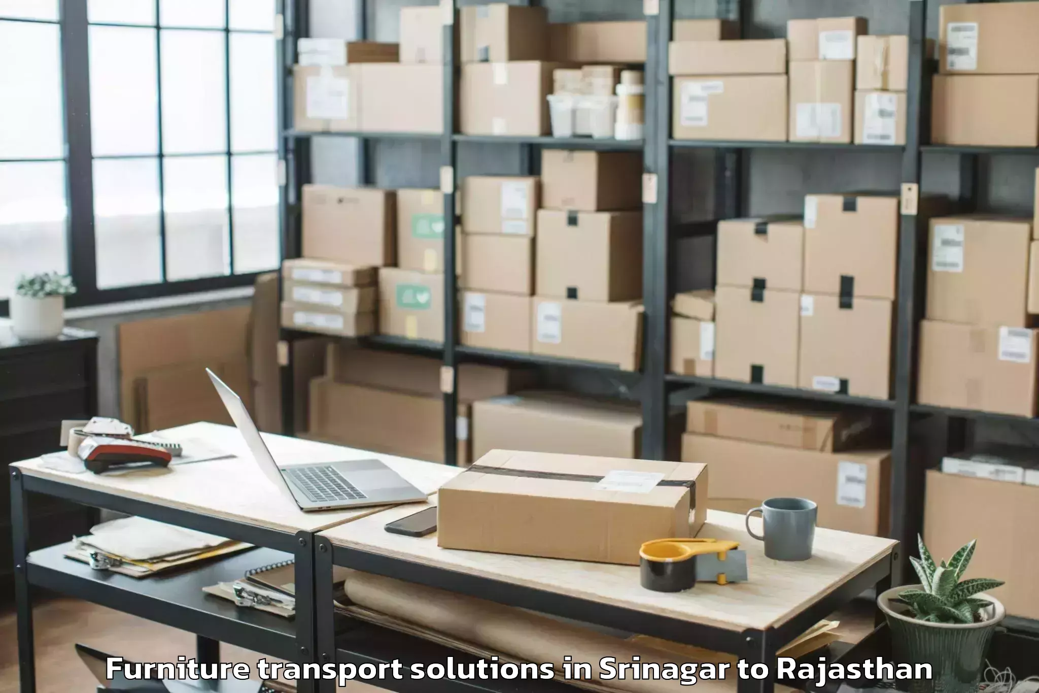 Professional Srinagar to Sheo Furniture Transport Solutions